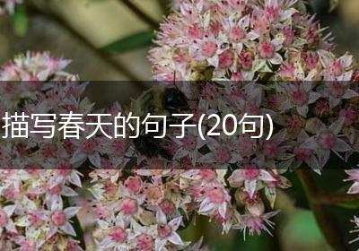 描写春天的句子(20句)