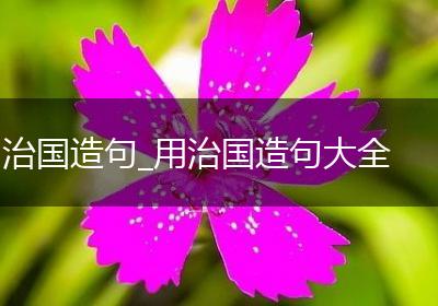 治国造句_用治国造句大全