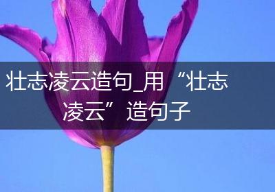 壮志凌云造句_用“壮志凌云”造句子