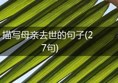 描写母亲去世的句子(27句)