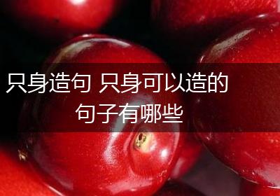 只身造句 只身可以造的句子有哪些