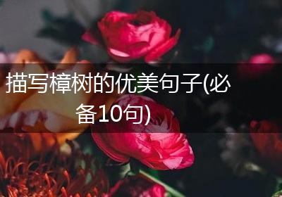 描写樟树的优美句子(必备10句)