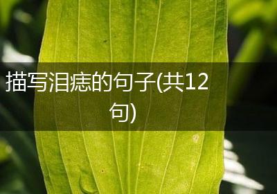 描写泪痣的句子(共12句)