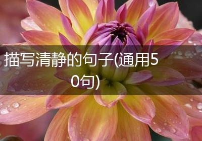 描写清静的句子(通用50句)