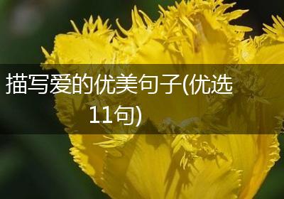 描写爱的优美句子(优选11句)