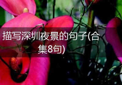 描写深圳夜景的句子(合集8句)