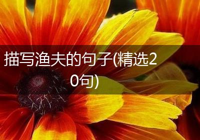 描写渔夫的句子(精选20句)