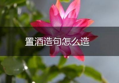 置酒造句怎么造