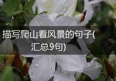 描写爬山看风景的句子(汇总9句)