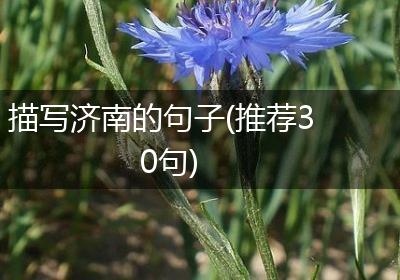 描写济南的句子(推荐30句)