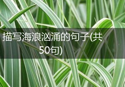 描写海浪汹涌的句子(共50句)