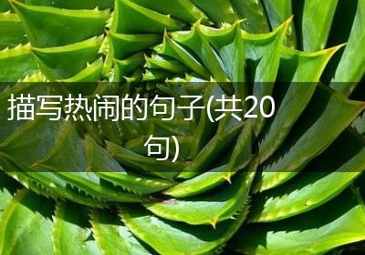描写热闹的句子(共20句)