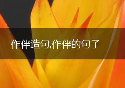 作伴造句,作伴的句子