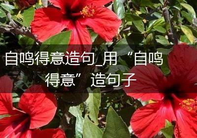 自鸣得意造句_用“自鸣得意”造句子