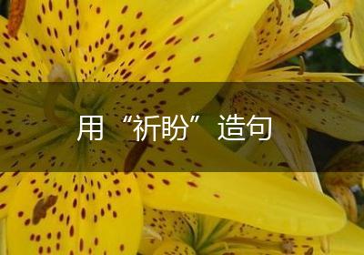 用“祈盼”造句