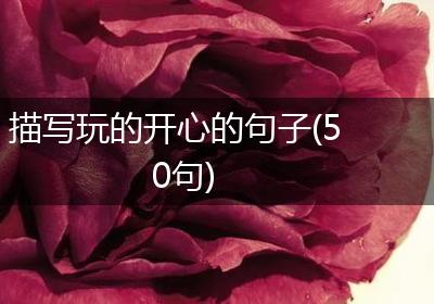 描写玩的开心的句子(50句)