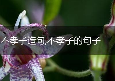 不孝子造句,不孝子的句子