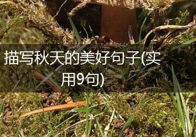 描写秋天的美好句子(实用9句)