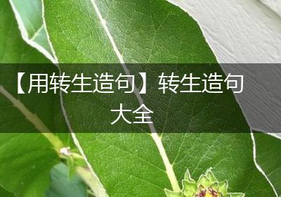 【用转生造句】转生造句大全