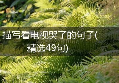 描写看电视哭了的句子(精选49句)