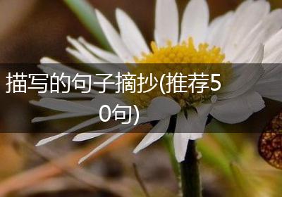 描写的句子摘抄(推荐50句)