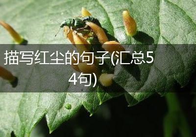 描写红尘的句子(汇总54句)