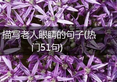 描写老人眼睛的句子(热门51句)