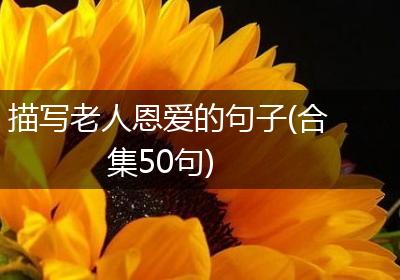 描写老人恩爱的句子(合集50句)