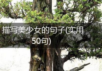 描写美少女的句子(实用50句)