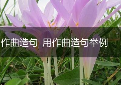 作曲造句_用作曲造句举例