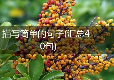 描写简单的句子(汇总40句)