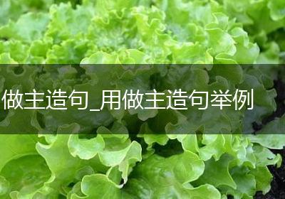 做主造句_用做主造句举例
