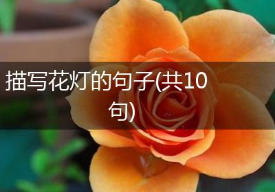 描写花灯的句子(共10句)