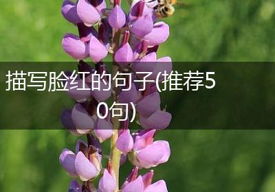 描写脸红的句子(推荐50句)