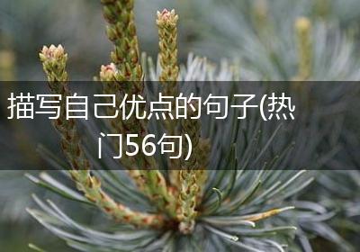 描写自己优点的句子(热门56句)