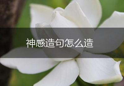 神感造句怎么造