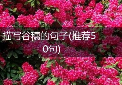 描写谷穗的句子(推荐50句)
