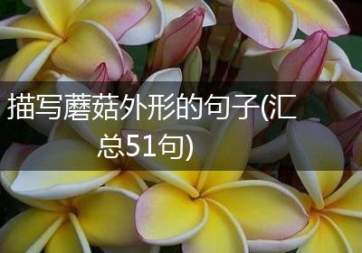 描写蘑菇外形的句子(汇总51句)