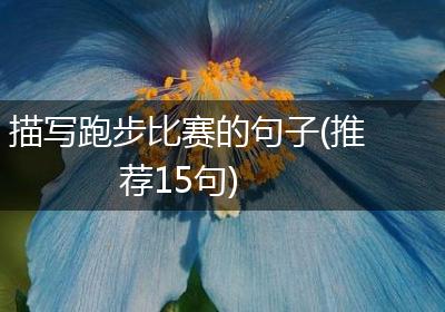 描写跑步比赛的句子(推荐15句)