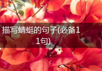 描写蜻蜓的句子(必备11句)