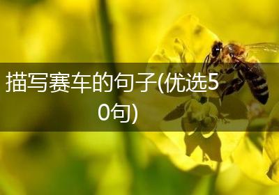 描写赛车的句子(优选50句)