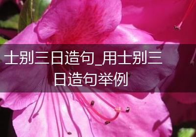 士别三日造句_用士别三日造句举例