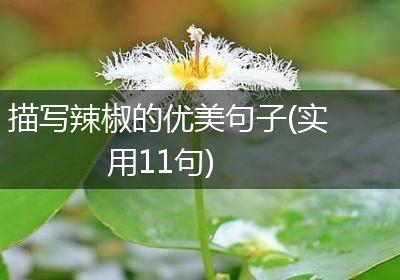描写辣椒的优美句子(实用11句)
