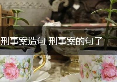 刑事案造句 刑事案的句子