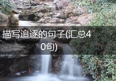 描写追逐的句子(汇总40句)