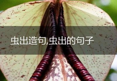 虫出造句,虫出的句子