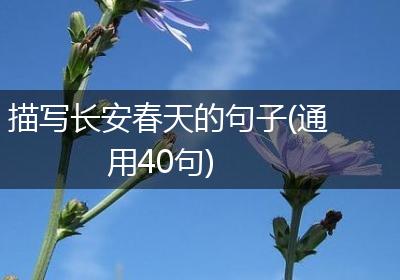 描写长安春天的句子(通用40句)