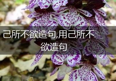 己所不欲造句,用己所不欲造句