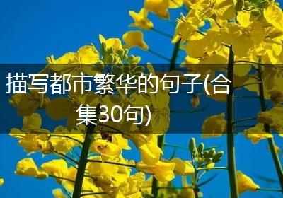描写都市繁华的句子(合集30句)