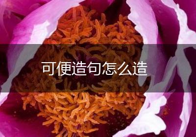 可便造句怎么造